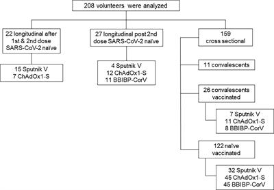 SARS-CoV-2-Specific IgG and IgA response in maternal blood and breastmilk of vaccinated naïve and convalescent lactating participants